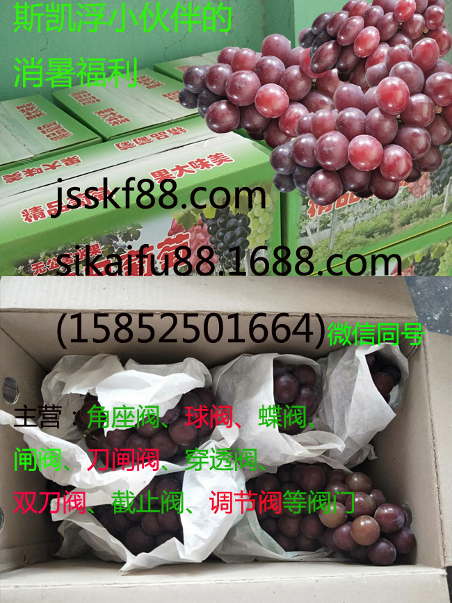 斯凯浮小伙伴消暑福利