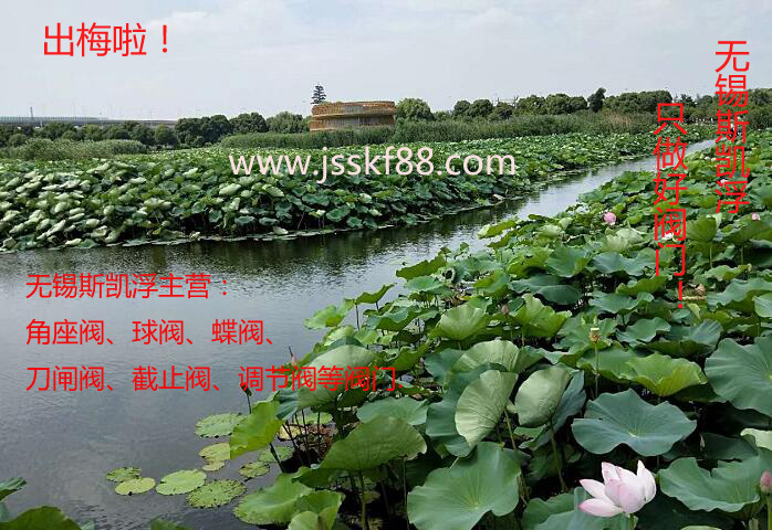 出梅啦 斯凯浮角座阀