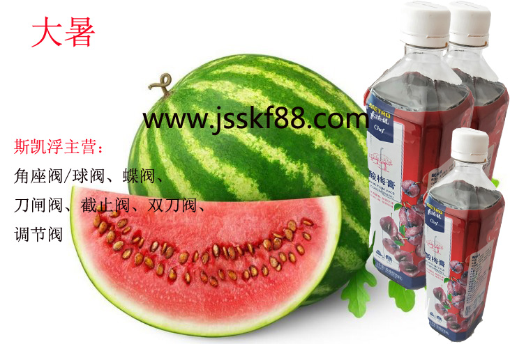 斯凯浮角座阀