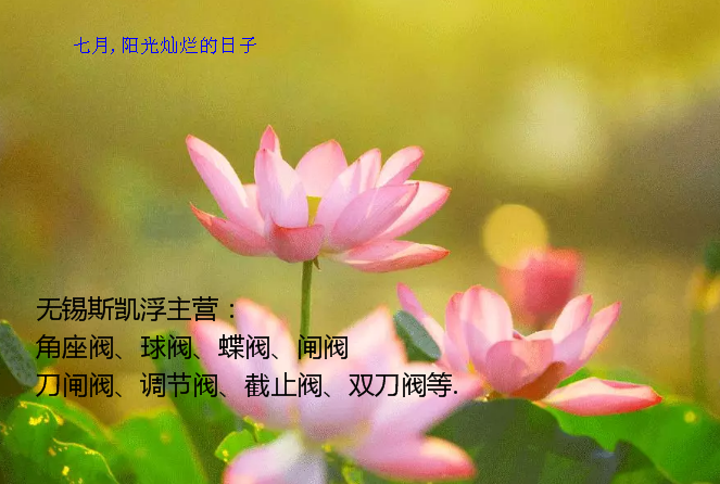 气动角座阀